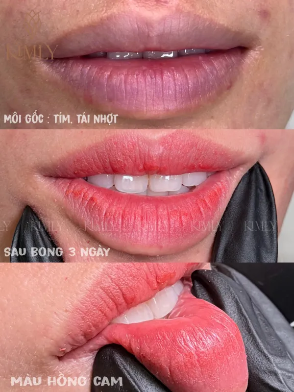 Tác phẩm của HOÀI VY tại KIMLY