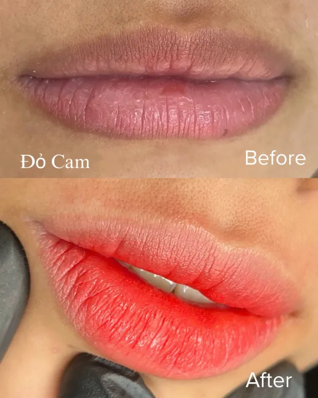 Tác phẩm của Tuấn Kiệt tại KIMLY